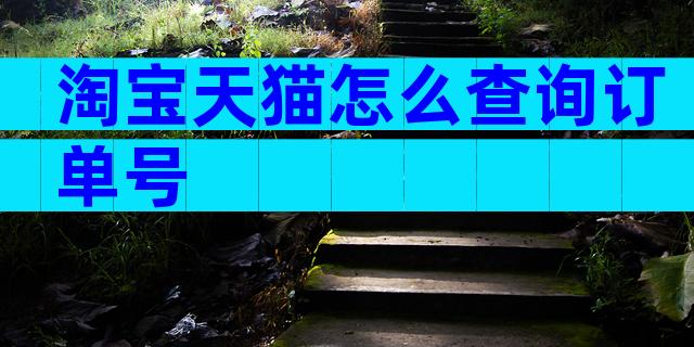 淘宝天猫怎么查询订单号
