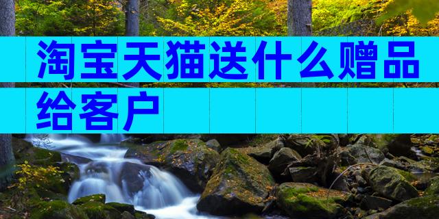淘宝天猫送什么赠品给客户