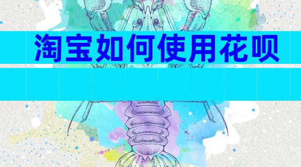 淘宝如何使用花呗