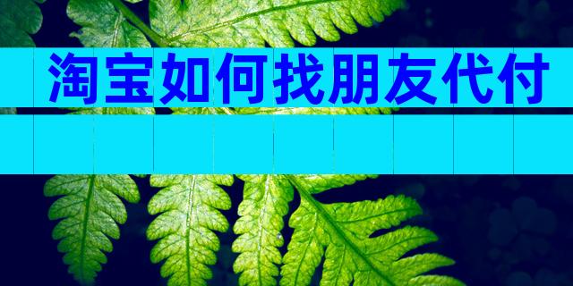 淘宝如何找朋友代付