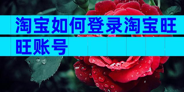 淘宝如何登录淘宝旺旺账号
