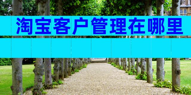 淘宝客户管理在哪里