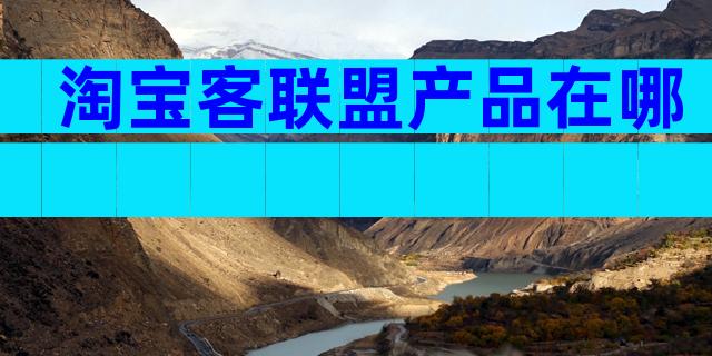 淘宝客联盟产品在哪