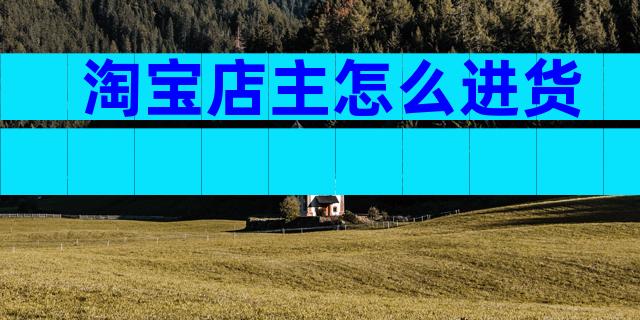 淘宝店主怎么进货