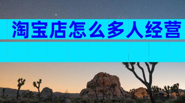 淘宝店怎么多人经营