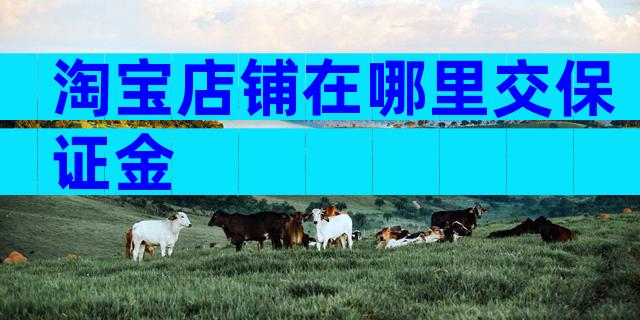 淘宝店铺在哪里交保证金