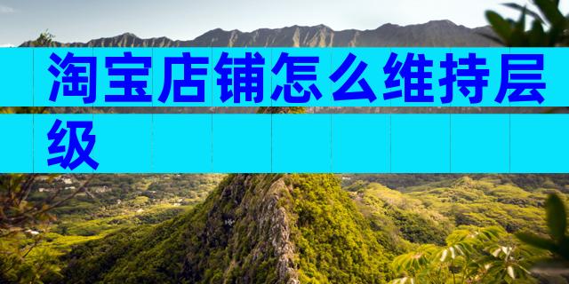 淘宝店铺怎么维持层级