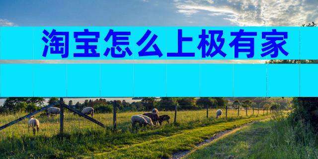 淘宝怎么上极有家