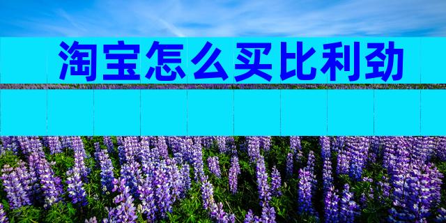 淘宝怎么买比利劲