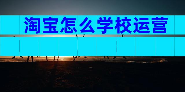淘宝怎么学校运营