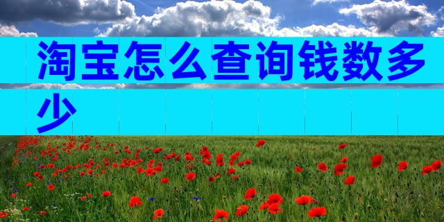 淘宝怎么查询钱数多少