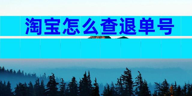 淘宝怎么查退单号