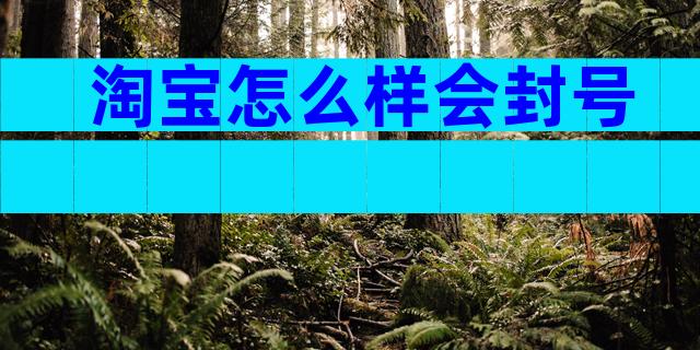 淘宝怎么样会封号