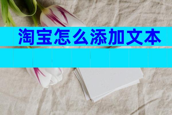 淘宝怎么添加文本