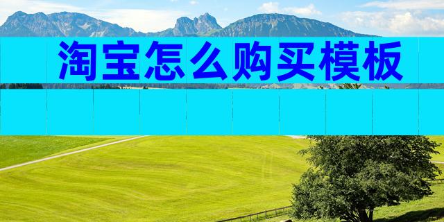 淘宝怎么购买模板