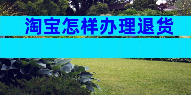 淘宝怎样办理退货