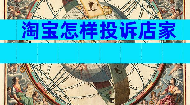 淘宝怎样投诉店家