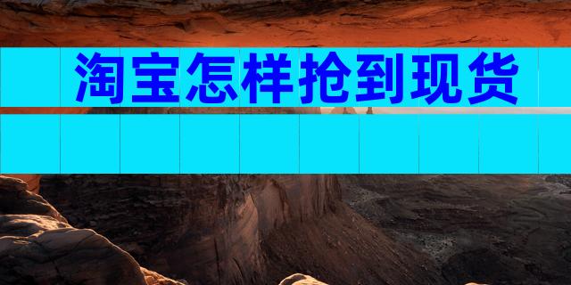淘宝怎样抢到现货
