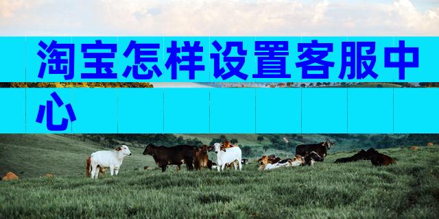 淘宝怎样设置客服中心