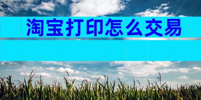 淘宝打印怎么交易