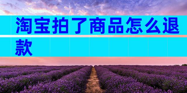 淘宝拍了商品怎么退款
