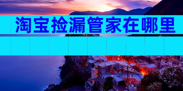 淘宝捡漏管家在哪里