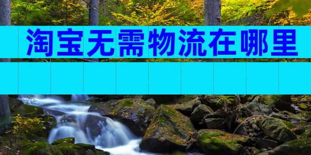 淘宝无需物流在哪里
