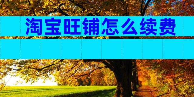 淘宝旺铺怎么续费