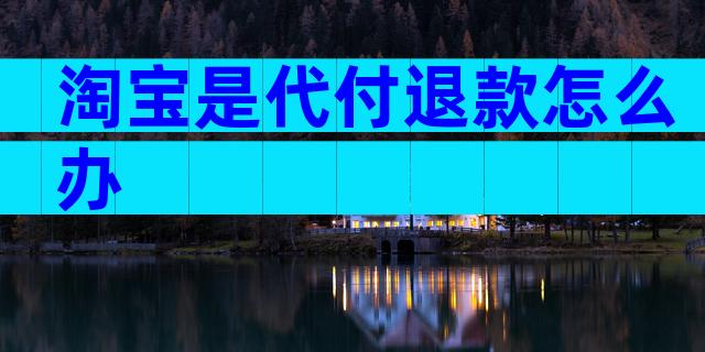 淘宝是代付退款怎么办