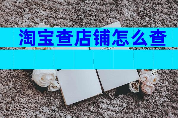 淘宝查店铺怎么查