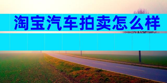 淘宝汽车拍卖怎么样