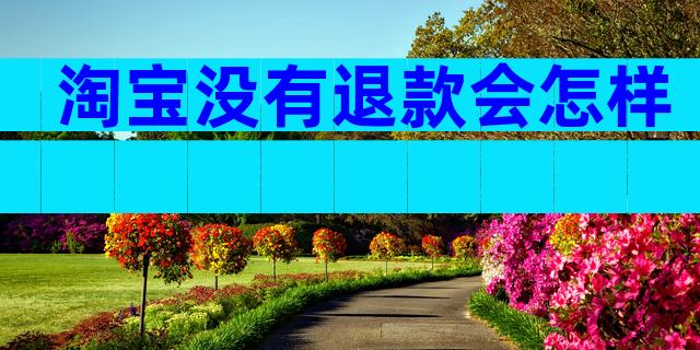 淘宝没有退款会怎样