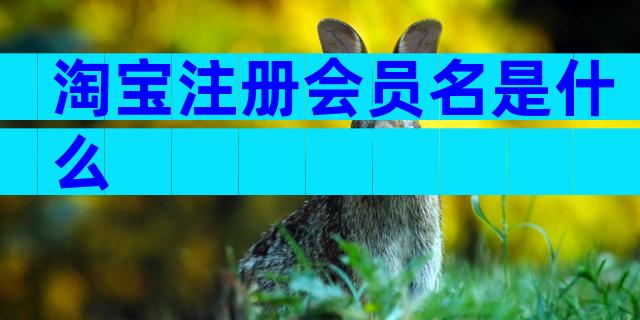 淘宝注册会员名是什么