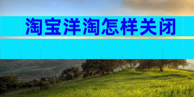 淘宝洋淘怎样关闭