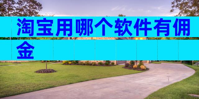 淘宝用哪个软件有佣金