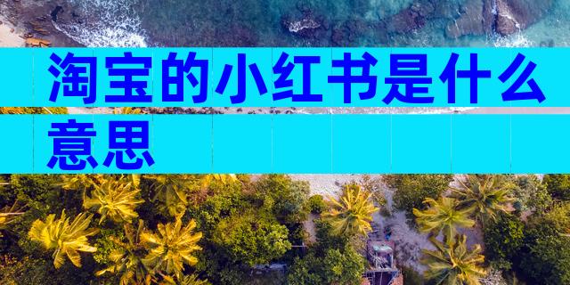 淘宝的小红书是什么意思