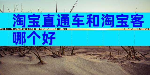 淘宝直通车和淘宝客哪个好