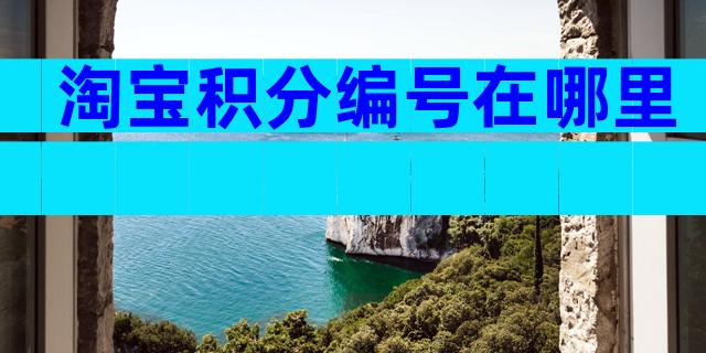 淘宝积分编号在哪里