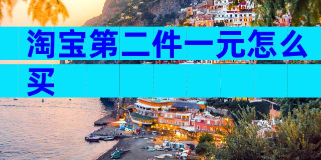 淘宝第二件一元怎么买