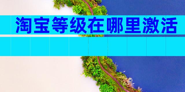 淘宝等级在哪里激活