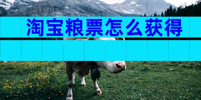 淘宝粮票怎么获得