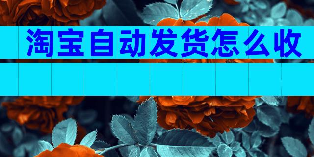 淘宝自动发货怎么收