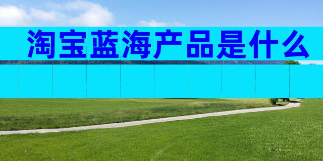 淘宝蓝海产品是什么