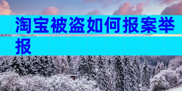 淘宝被盗如何报案举报