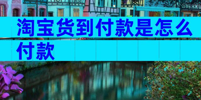 淘宝货到付款是怎么付款