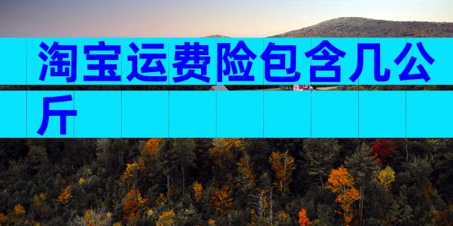 淘宝运费险包含几公斤