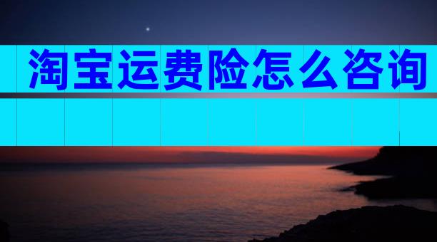 淘宝运费险怎么咨询