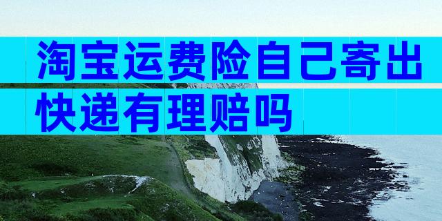 淘宝运费险自己寄出快递有理赔吗