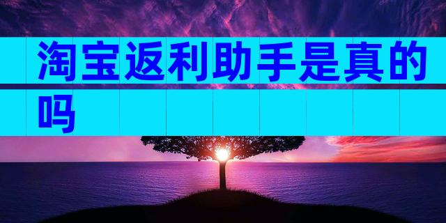 淘宝返利助手是真的吗