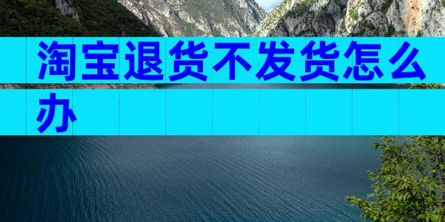 淘宝退货不发货怎么办